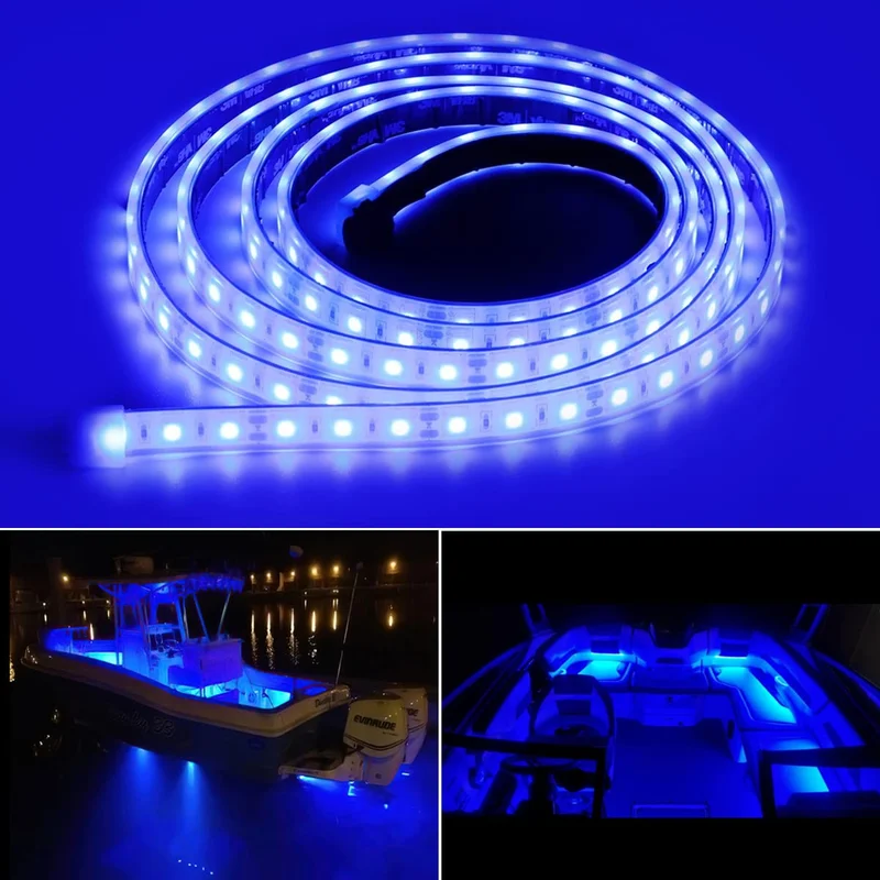lightsdaddy812310
