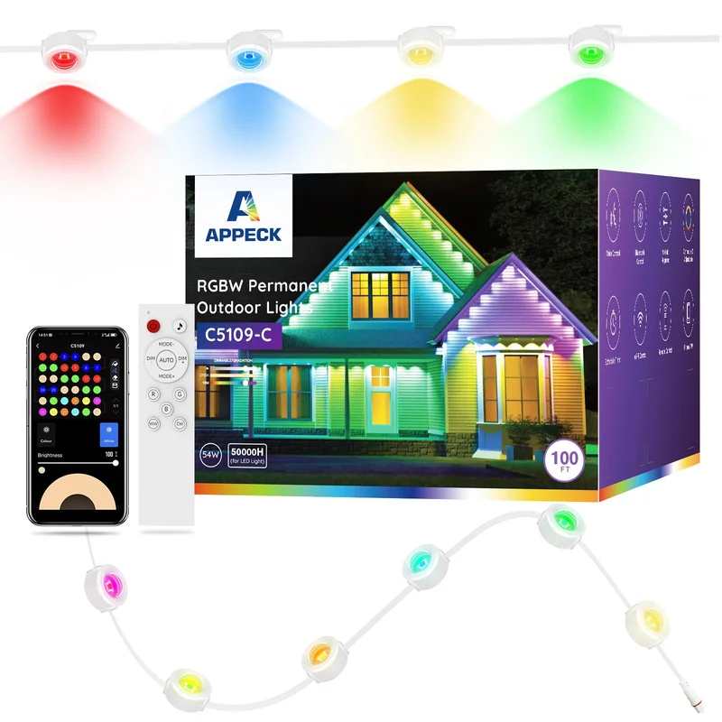 lightsdaddy817353