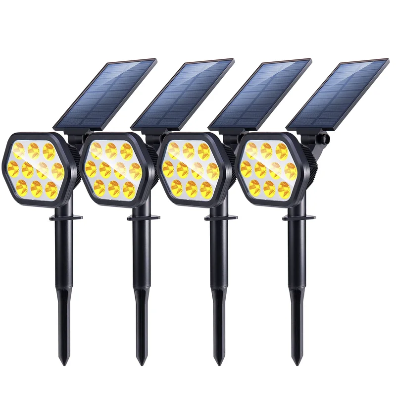 lightsdaddy819831