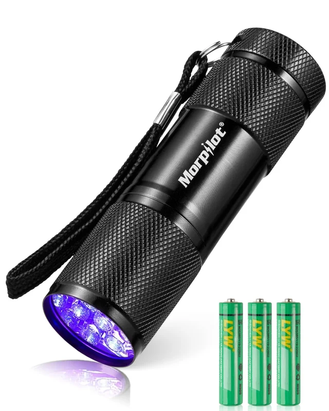 lightsdaddy821186