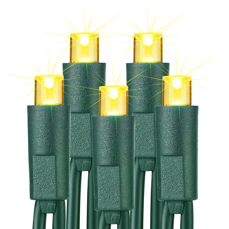 lightsdaddy822088