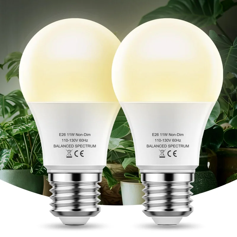 lightsdaddy826281