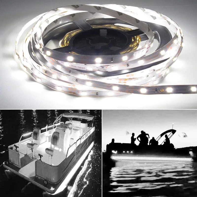 lightsdaddy826340