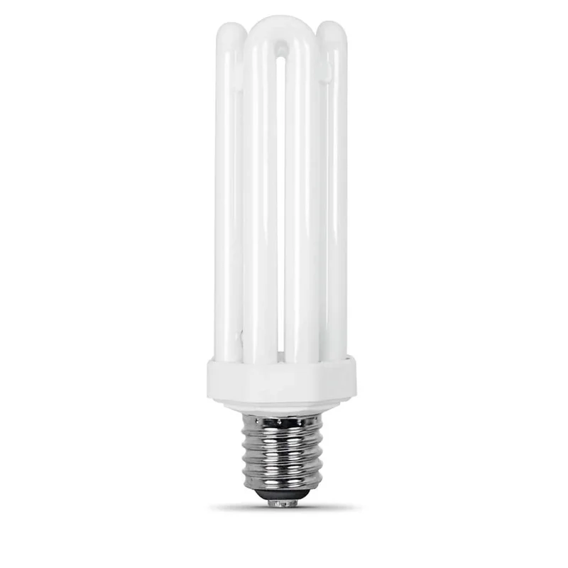 lightsdaddy826736