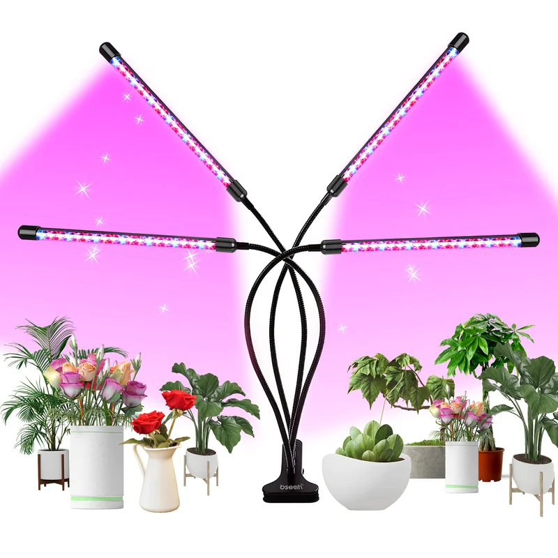 lightsdaddy826803