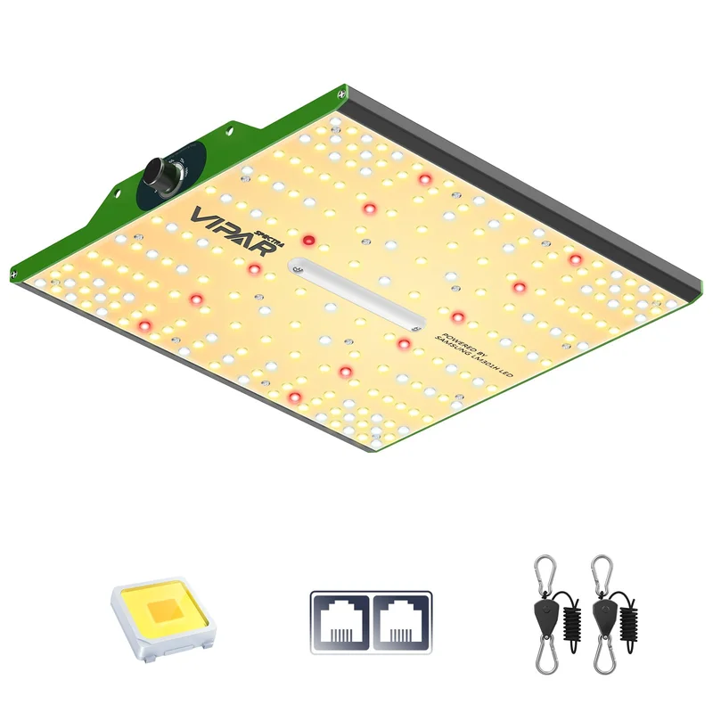 lightsdaddy826808