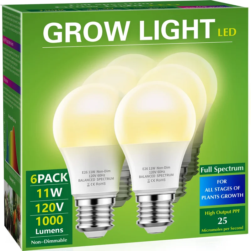 lightsdaddy826878