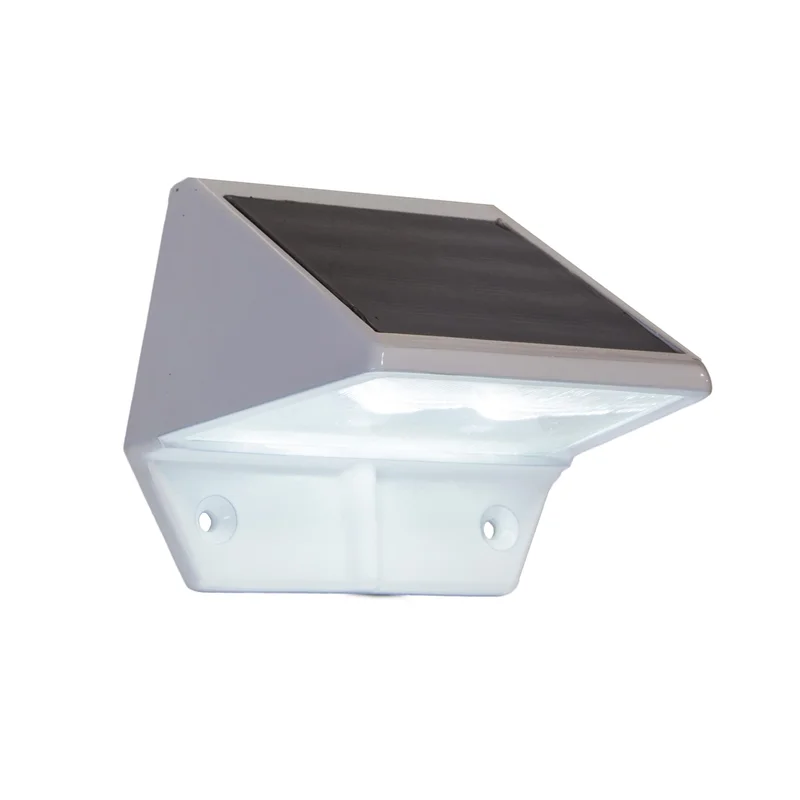 lightsdaddy827624