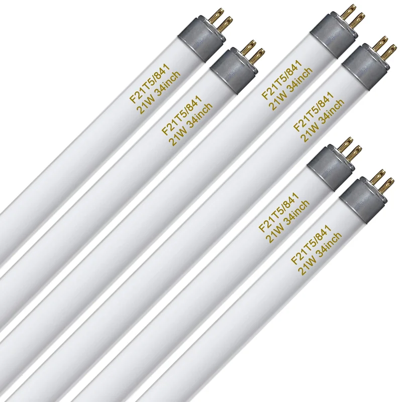 lightsdaddy828731
