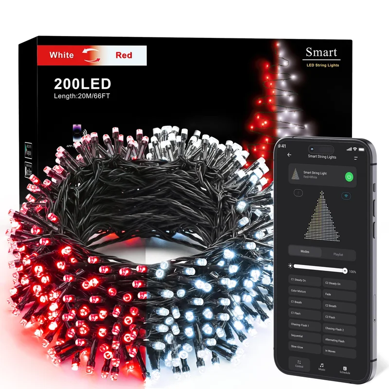 lightsdaddy829315