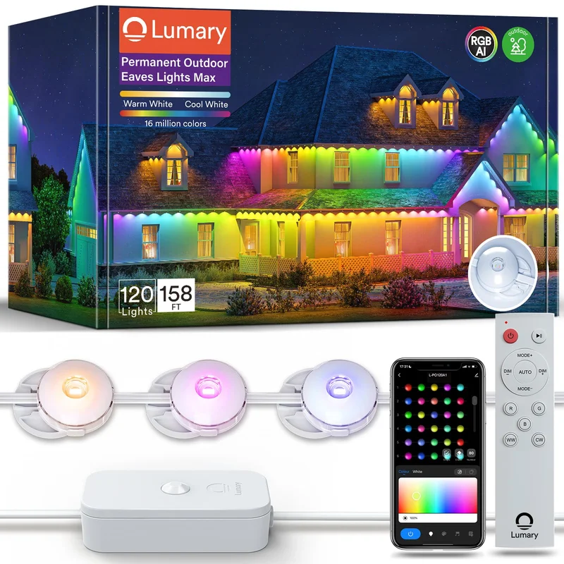 lightsdaddy829387