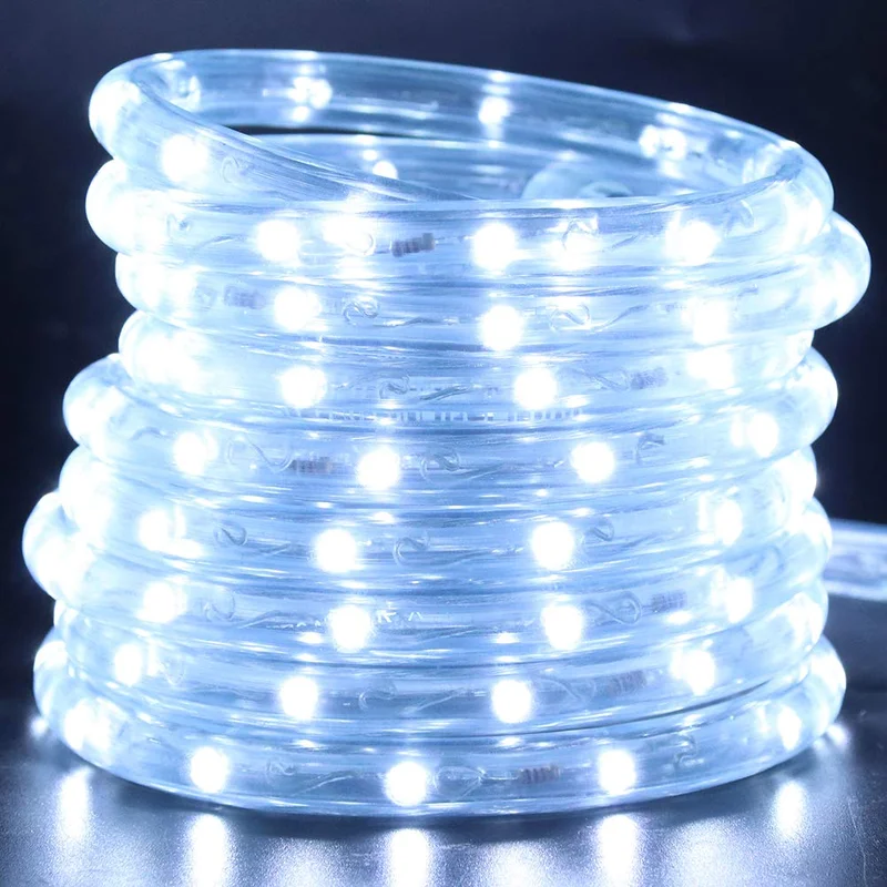 lightsdaddy830249