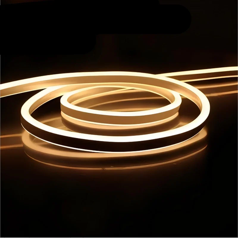 lightsdaddy831066