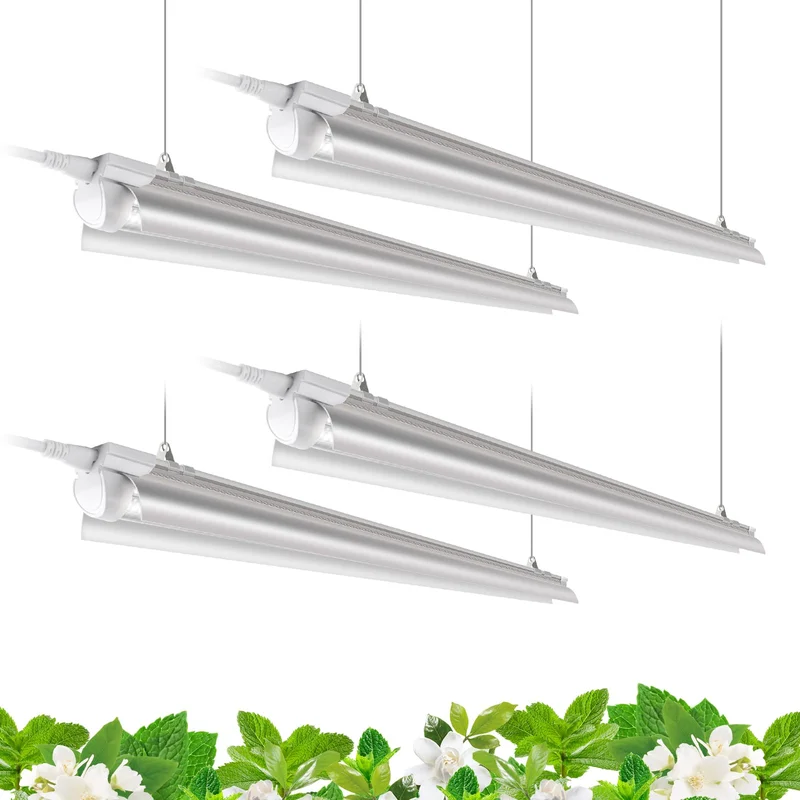 lightsdaddy836320