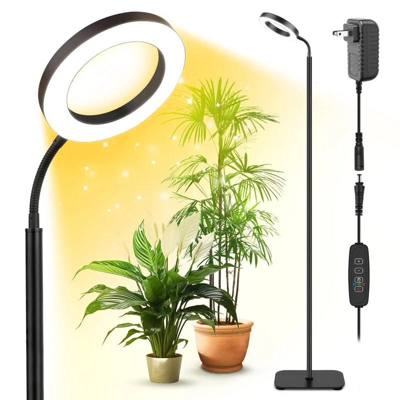 lightsdaddy840950