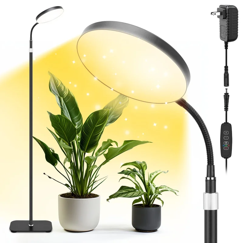 lightsdaddy840977