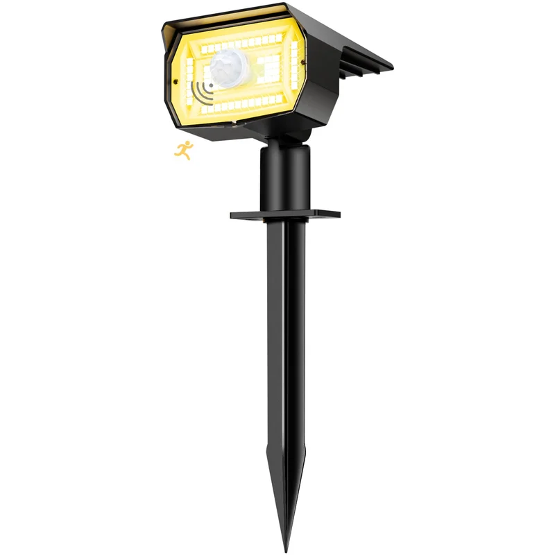 lightsdaddy842137