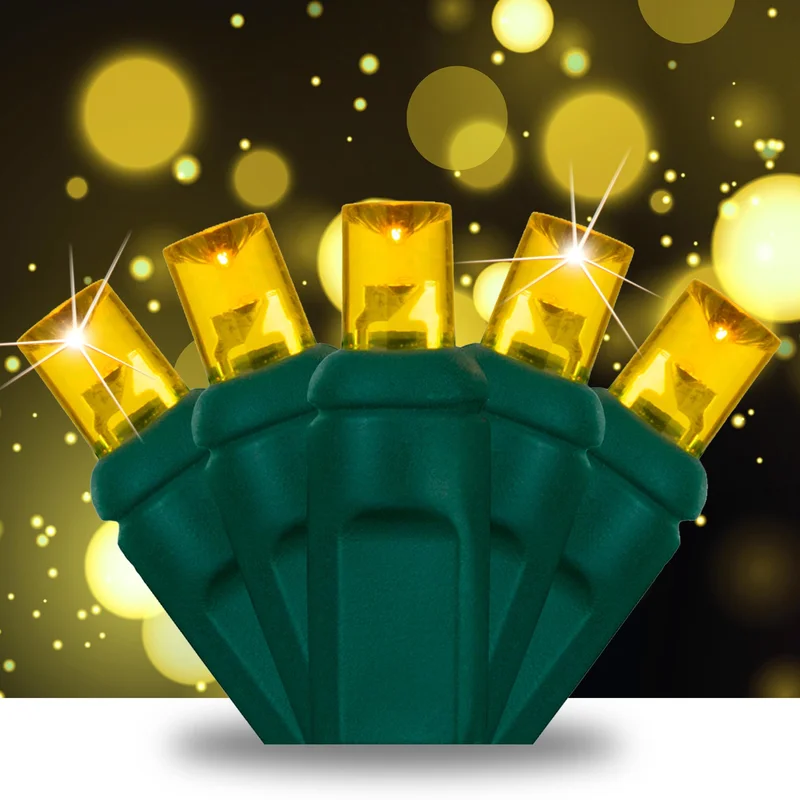 lightsdaddy842282