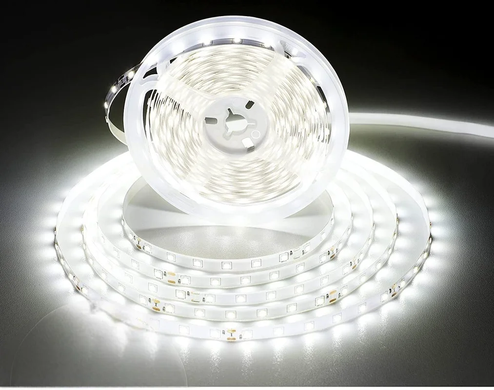 lightsdaddy847603