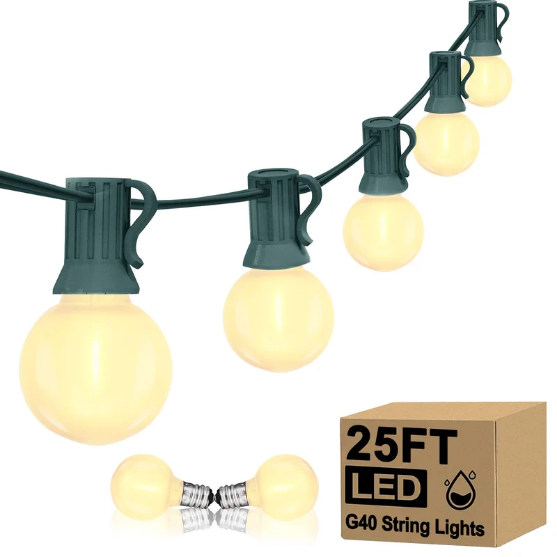 lightsdaddy849016