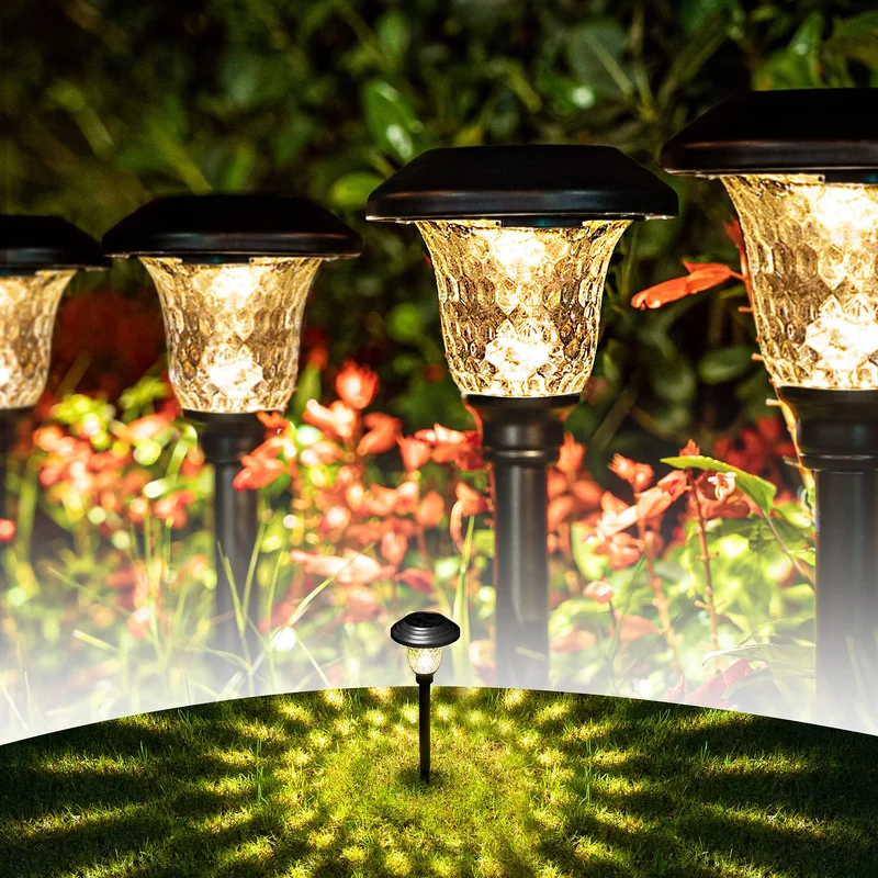lightsdaddy849642