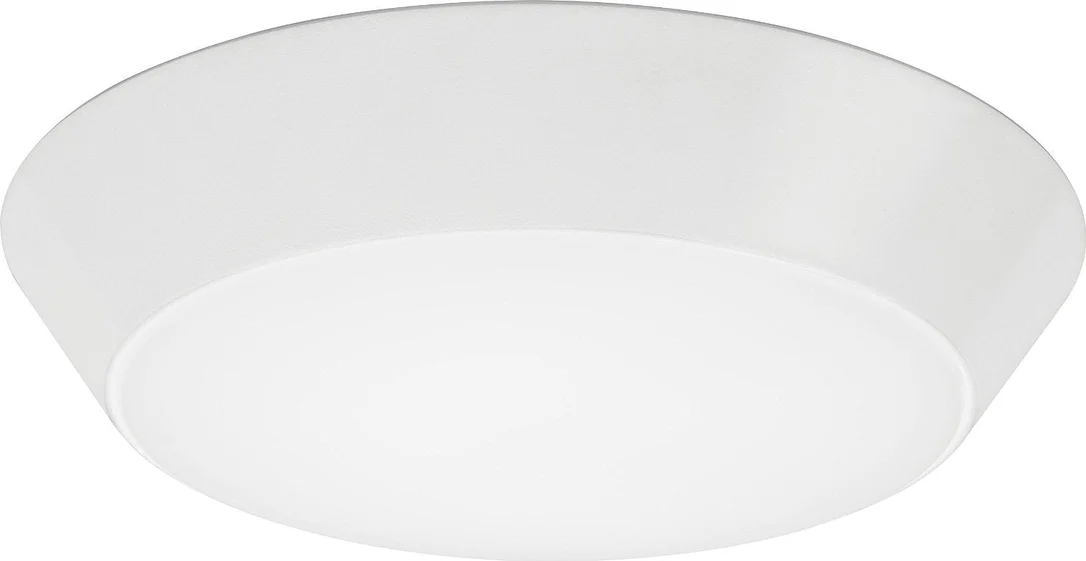 lightsdaddy853073