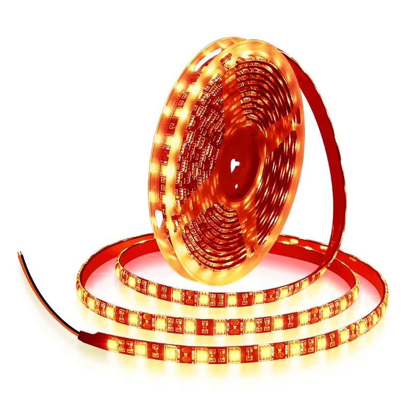 lightsdaddy853148