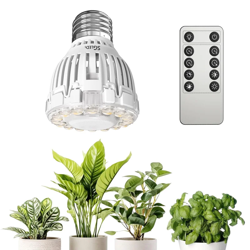 lightsdaddy855037