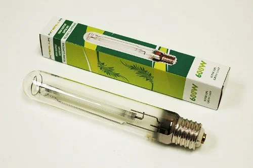 lightsdaddy861711