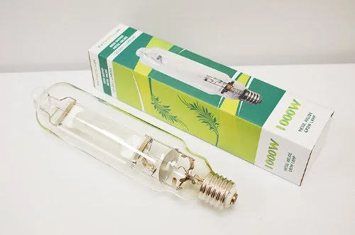 lightsdaddy861724