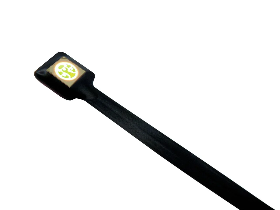 lightsdaddy862713