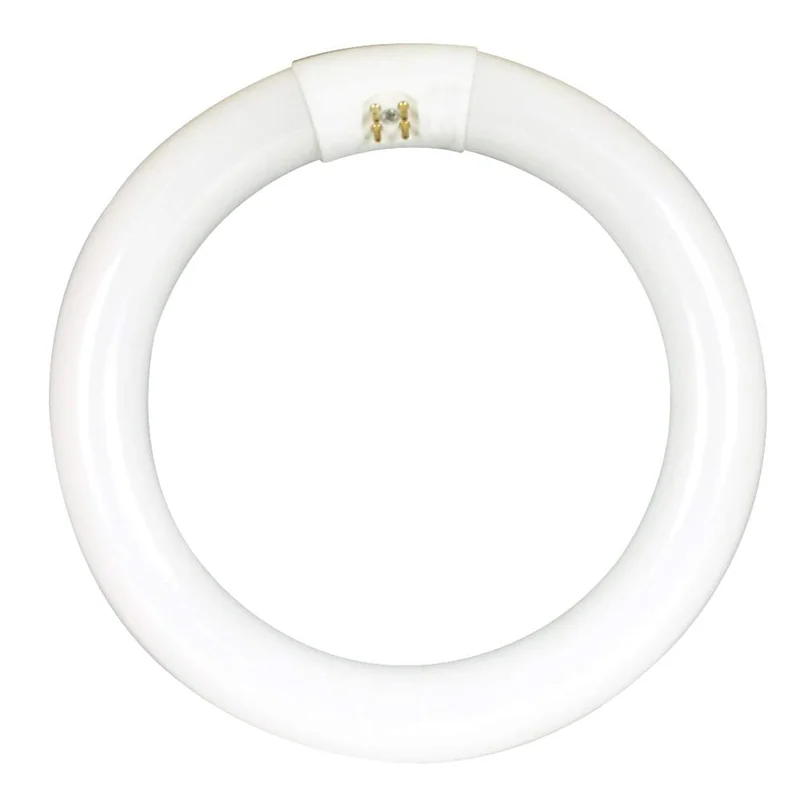 lightsdaddy863405