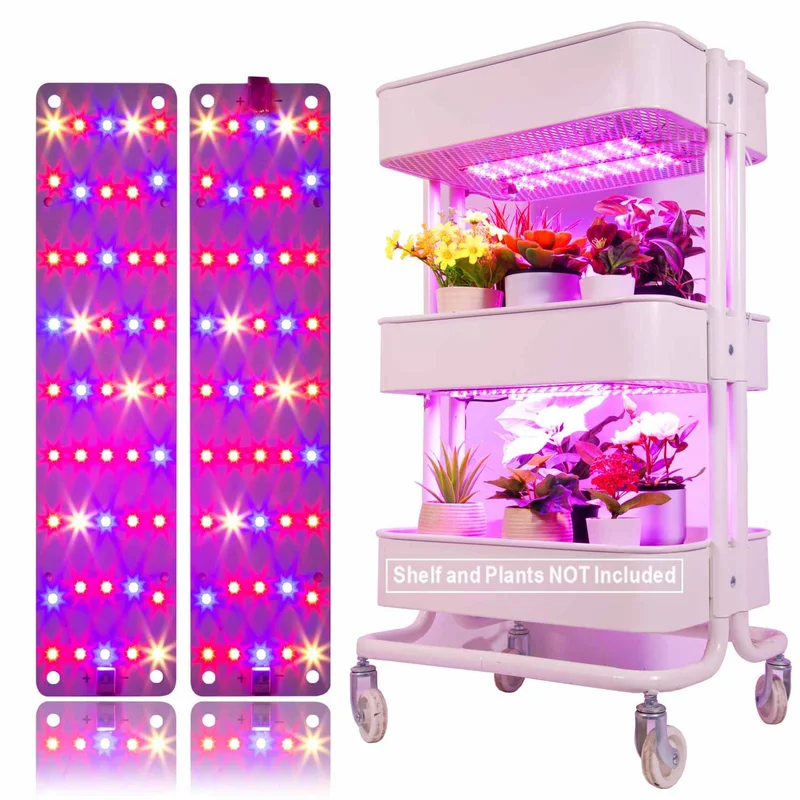 lightsdaddy864915