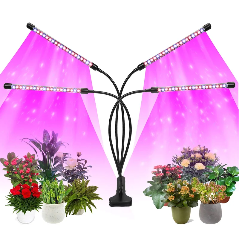 lightsdaddy867876