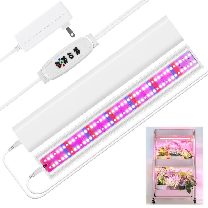 lightsdaddy867990