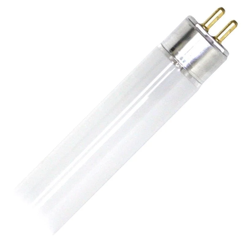 lightsdaddy868458