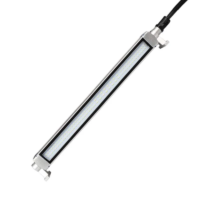 lightsdaddy868828