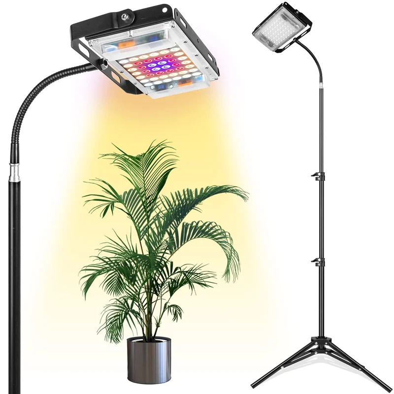 lightsdaddy869160