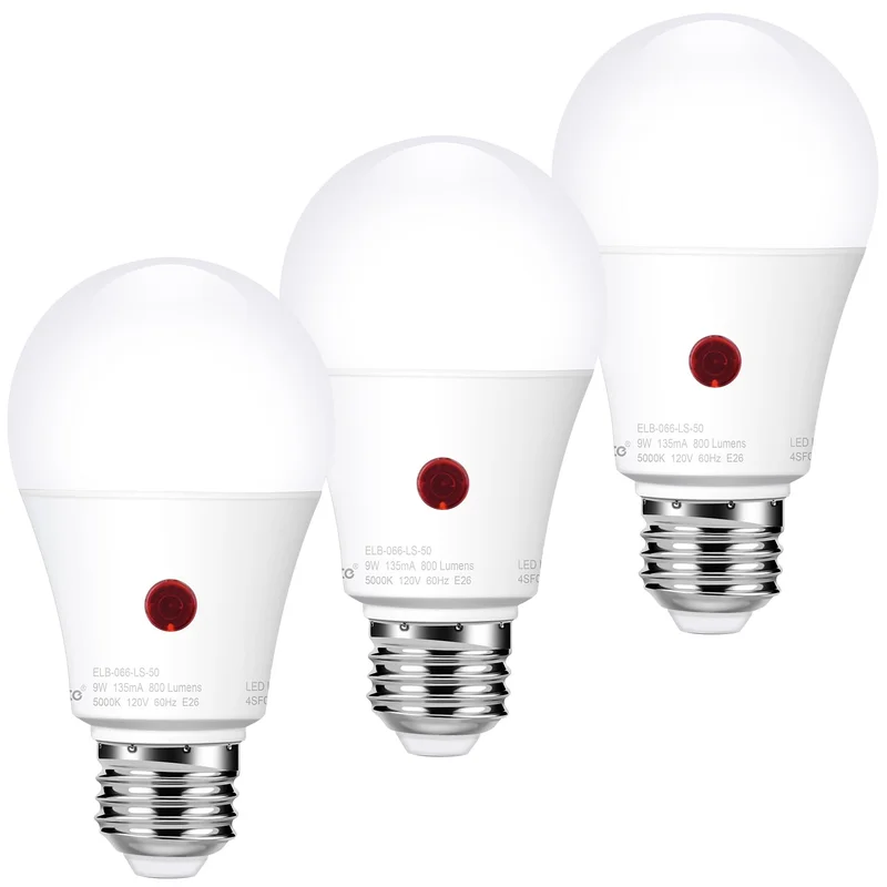 lightsdaddy869722
