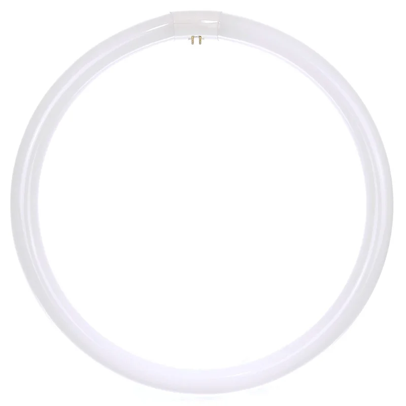 lightsdaddy890189