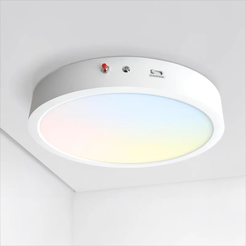 lightsdaddy895252