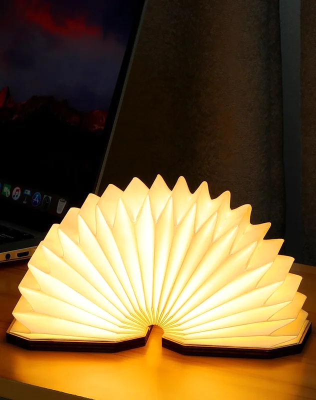 lightsdaddy897037