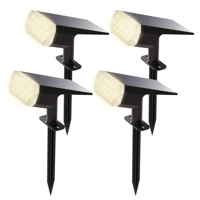 lightsdaddy899010