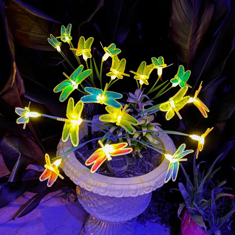lightsdaddy901057