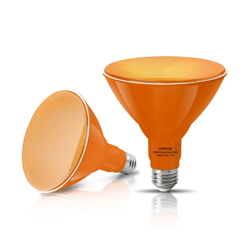 lightsdaddy91249