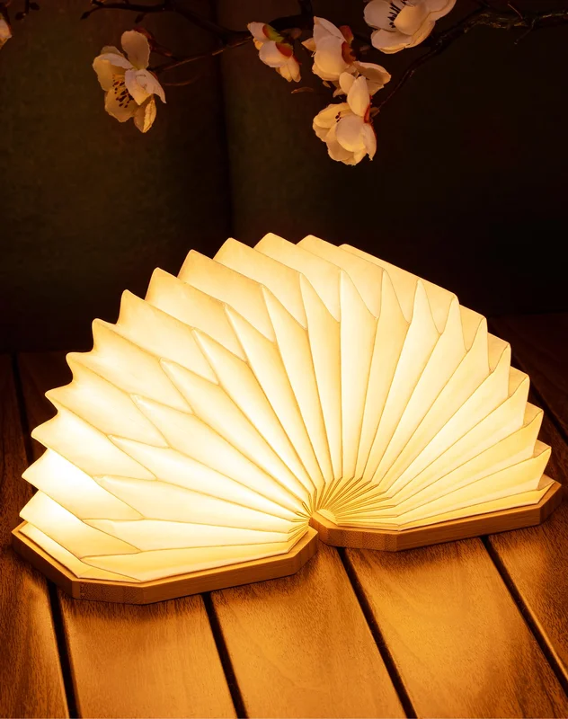 lightsdaddy912666