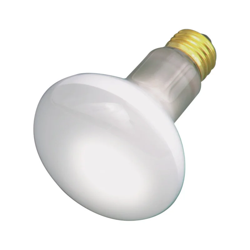 lightsdaddy924724