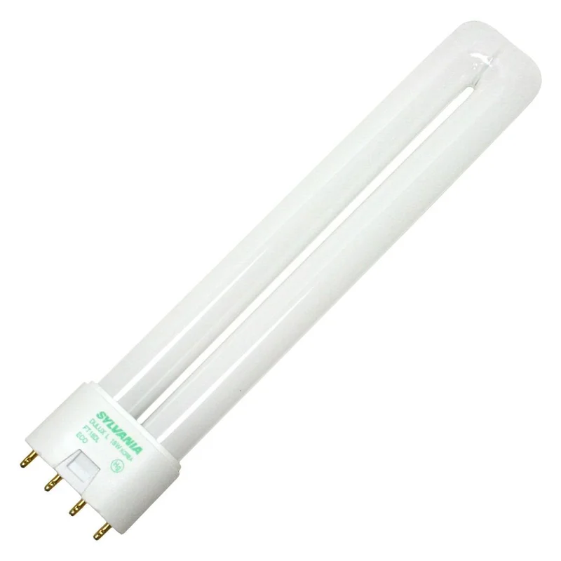 lightsdaddy925991