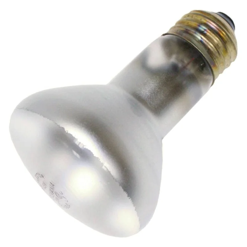 lightsdaddy926101