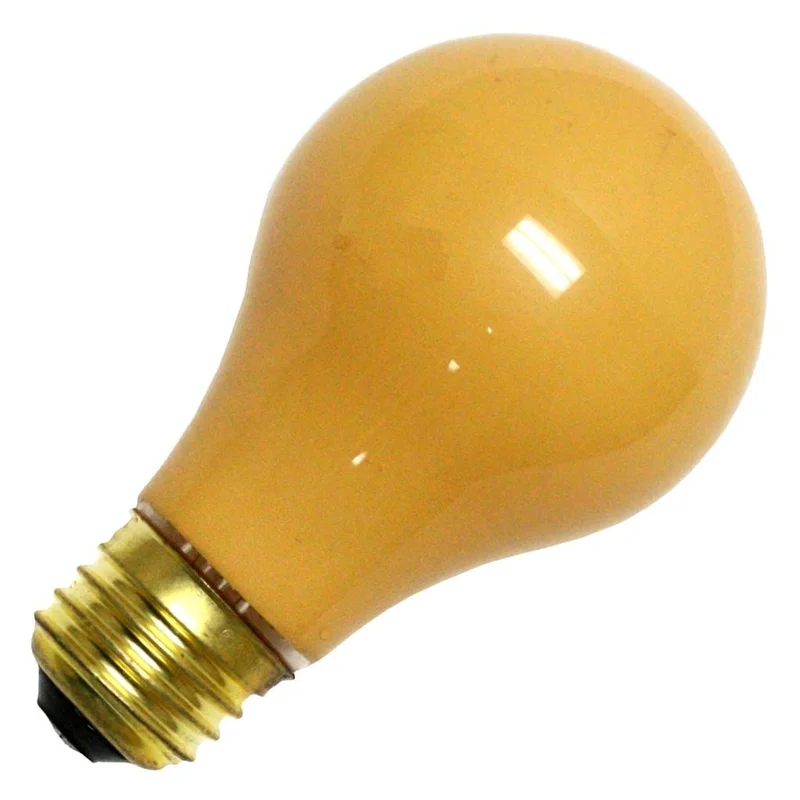 lightsdaddy926751